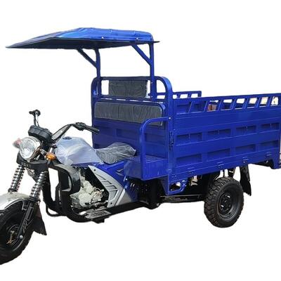 Vente à chaud pour adultes Tricycle cargo 200cc Petrol Tipper Motorisé avec cabine ouverte
