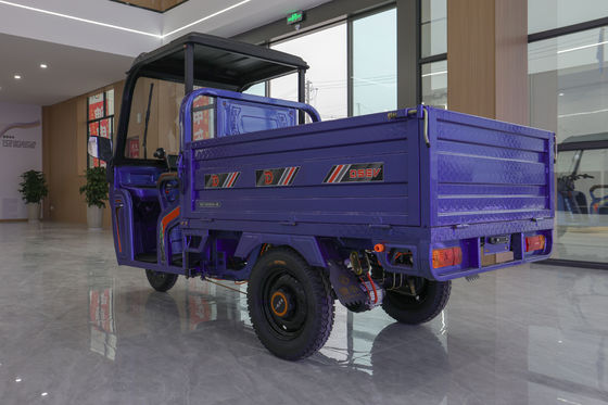 Buon prezzo Fabbricante Camion Motociclette elettriche Tricicli in linea